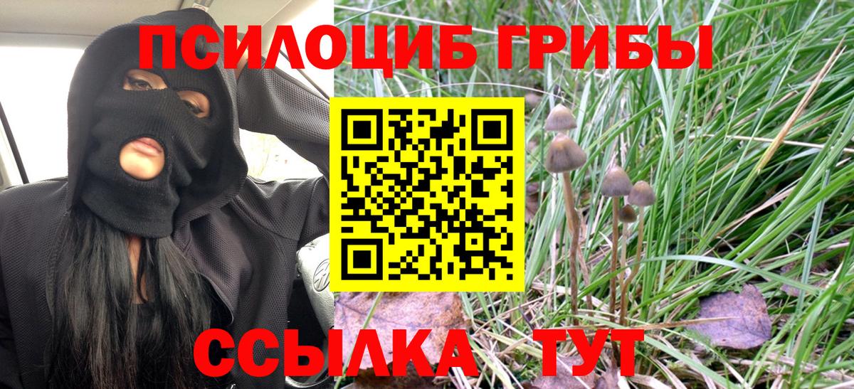 Нягань  где купить наркоту  Вход с VPN  Псилоцибиновые грибы мицелий 